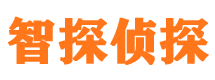 江陵侦探公司